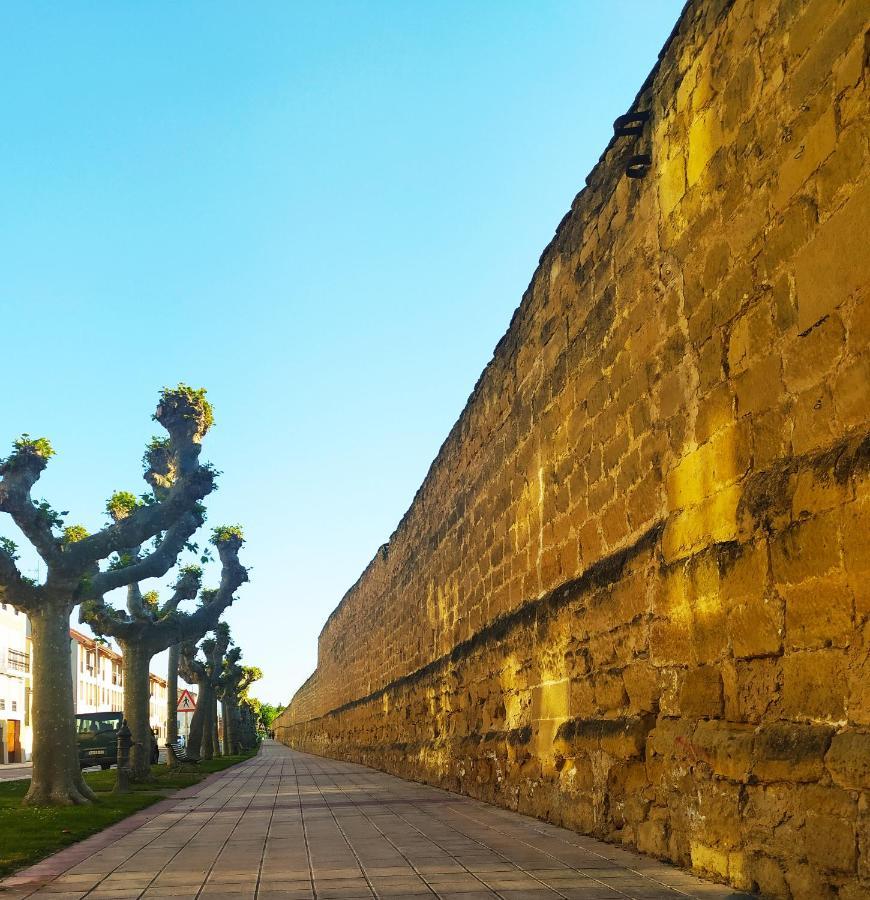 Appartamento El Rincon De Pilar Casalarreina Esterno foto